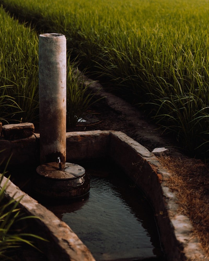 Solar Pump Sets